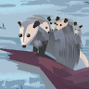 Meet your Posher, J e t t